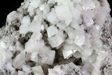 Dolomite Crystal Cluster - Penfield, NY #68862-2
